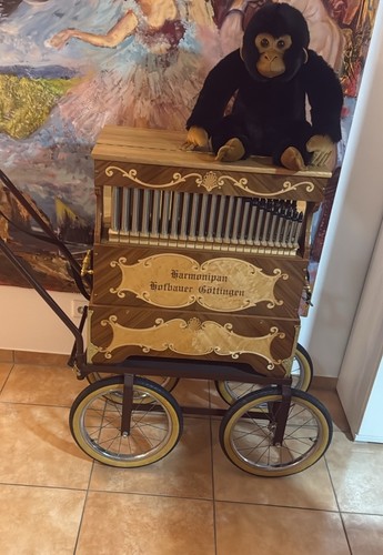 Hufbauer göttingen - hufbauer,